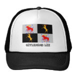 Gävleborgs län flag with name hat