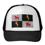 Gävleborgs län waving flag mesh hat
