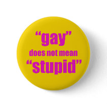 Gay does not mean stupid pin