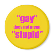 Gay does not mean stupid fridge magnets
