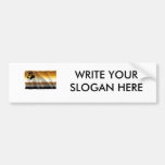 GAY HUMOR BEAR PRIDE FLAG BUMPER STICKERS