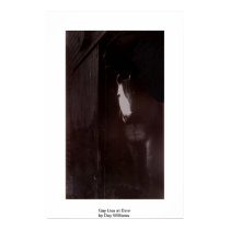 Gay Lisa in Barn posters