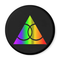 Gay Marriage Rainbow Triangle magnets by The_Speech_Zone Gay Marriage Rainbow Triangle magnets