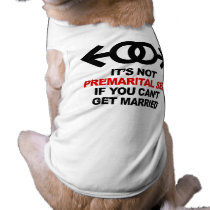 Gay Pre-marital Sex pet clothing