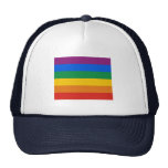 Gay Pride Flag / Rainbow Flag Hat