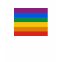 Gay Pride Flag / Rainbow Flag t-shirts