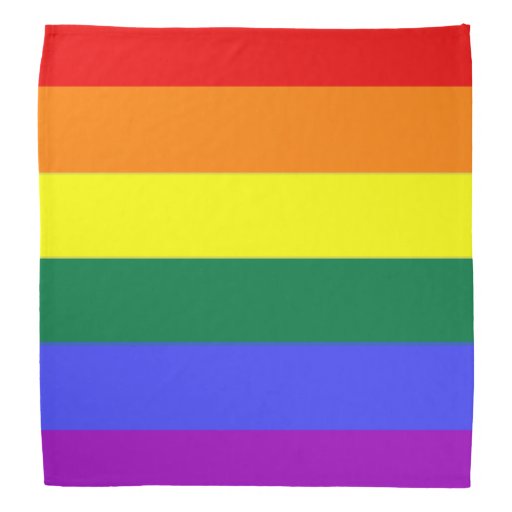 thumbnail interactive-video image 1 of Rainbow Paisley Bandana - Pride Shop NZ 1 of 14