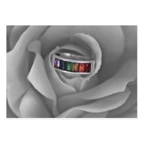 Gay Pride ring profile cards