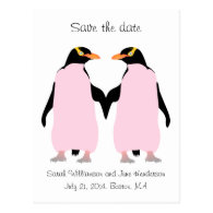 Gay Save the date, pink penguins Postcard