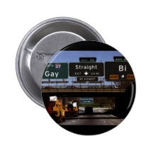 Gay/Straight/Bi Road Signs Pin