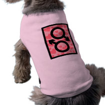 Gay Valentine pet clothing