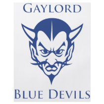 Gaylord Blue Devils flyers