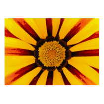 Gazania business cards by dinatemraz Gazania business cards