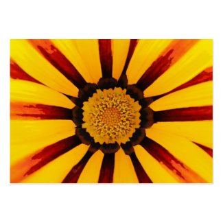Gazania profilecard