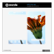 Gazania Decal For The HTC Evo 4G