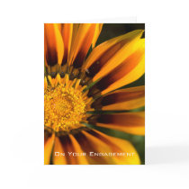 Gazania | Engagement Congratulation cards by HortusFloridus Gazania | Engagement Congratulation cards