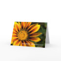 Gazania | Happy Birthday cards by HortusFloridus Gazania | Happy Birthday cards