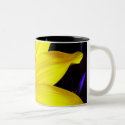Gazania Mug
