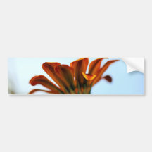 Gazania Pegatina De Parachoque