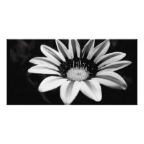 GAZANIA PERSONALIZED PHOTO CARD