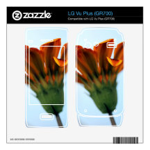 Gazania Skin For The LG Vu Plus