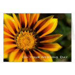 Gazania | Wedding Congratulation Card