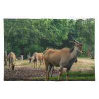 Gazelle, wild animal zoo,羚. place mats