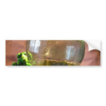 Gazer bumper stickers