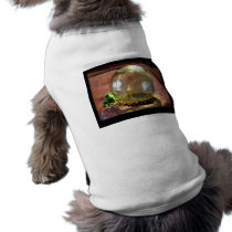 Gazer pet clothing