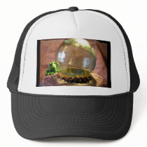 Gazer hats