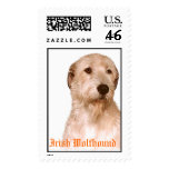 Gazing Irish Wolfhound postage