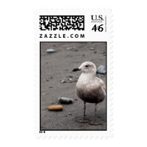 Gazing Out postage by trevorluckmanphoto Gazing Out postage
