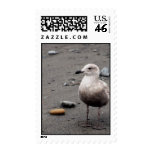 Gazing Out postage