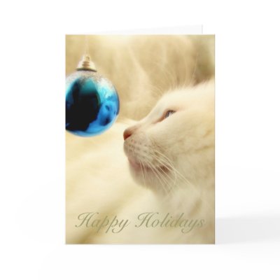 Gazing Upon A Blue Star Card by JCatGarden