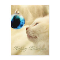 Gazing Upon A Blue Star postcards