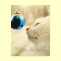 Gazing Upon A Blue Star postcards