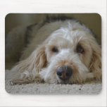 GBGV Dog Mouse Pad mousepads
