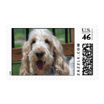 GBGV Postage Stamp stamps