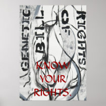GBR KNOW  YOUR  RIGHTS Poster