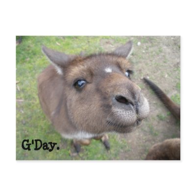G'Day. Postcards by piquantprincess