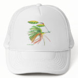 Gear & Tackle Collection by FishTs.com