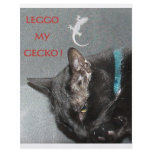 GECKO AND CAT flyers