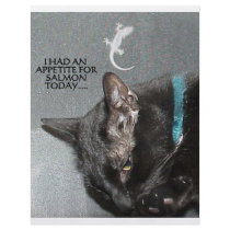 GECKO AND CAT FLYER DESIGN