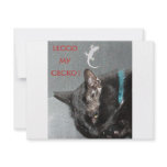 GECKO AND CAT CUSTOM ANNOUNCEMENT