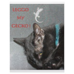 GECKO AND CAT letterhead