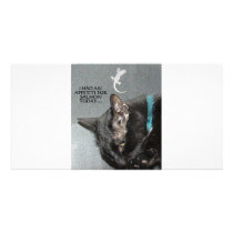 GECKO AND CAT PHOTO CARD TEMPLATE