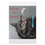 GECKO AND CAT CUSTOM STATIONERY
