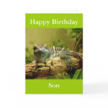 Gecko Birthday Card