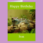 Gecko Birthday Card cards