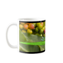 Gecko Coffee mugs